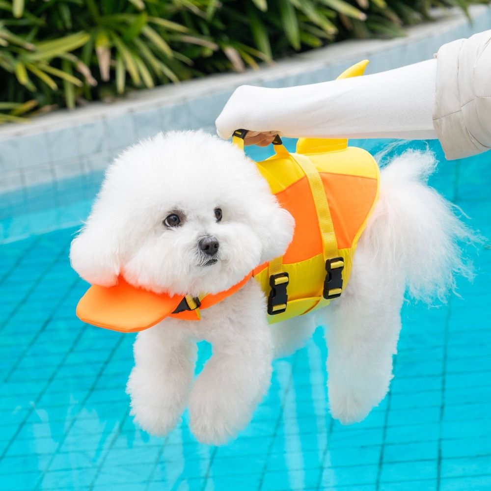Giubbotto di salvataggio per c - Life Jacket recensione e prezzo